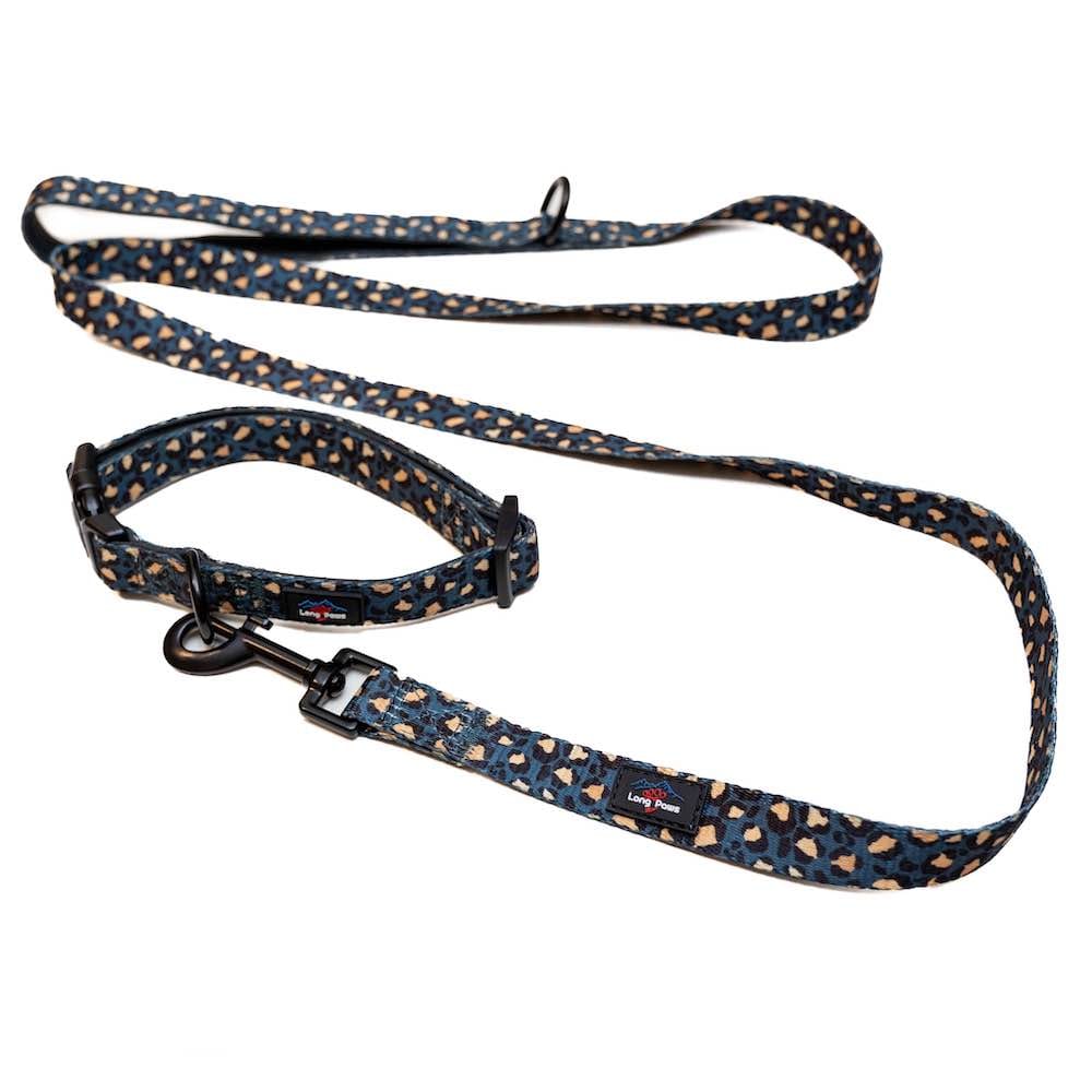 Leopard print dog shop collar and leash