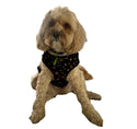 Funk The Dog Harness | GoldBlack Leopard