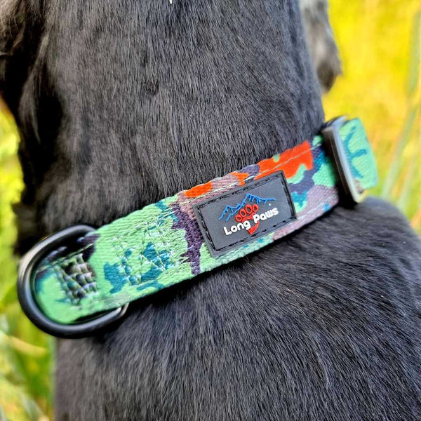 Earth Friendly - Trig Point Collar & Lead Set