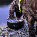 Lunar Dog Bowl - Black Dog Bowl