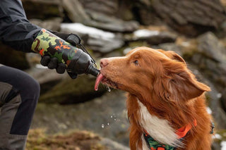 Dog Water Bottle, Lick 'n Flow, Camo