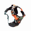 Earth Friendly - Trig Point Harness and Lead Set