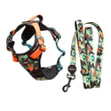 Earth Friendly - Trig Point Harness and Lead Set