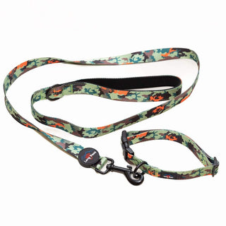 Earth Friendly - Trig Point Collar & Lead Set