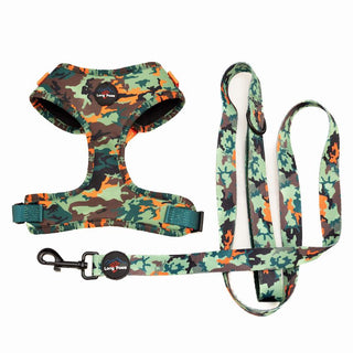 Earth Friendly - Trekker Harness and Lead Set