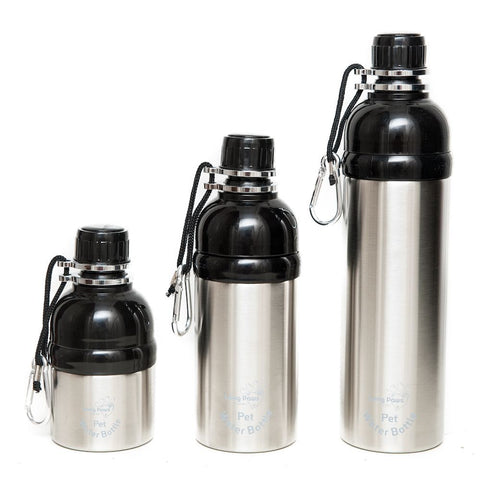 Long paws pet water bottle silver collection