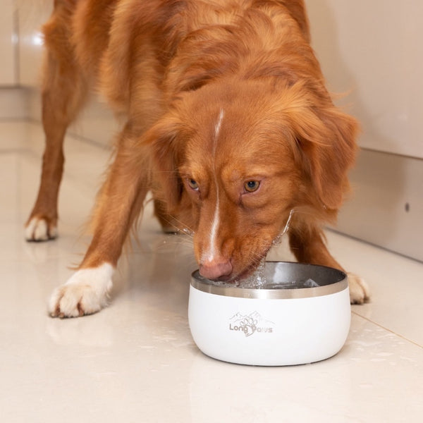 Lunar Dog Bowls - Food & Water Bowl Set