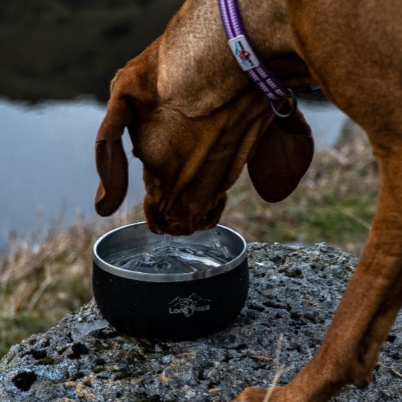 Lunar Dog Bowls - Food & Water Bowl Set