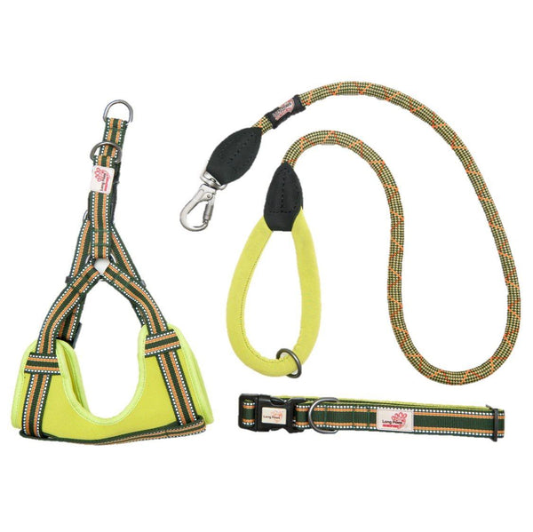 Comfort Collar, Dog Harness & Rope Lead Set - Long Paws