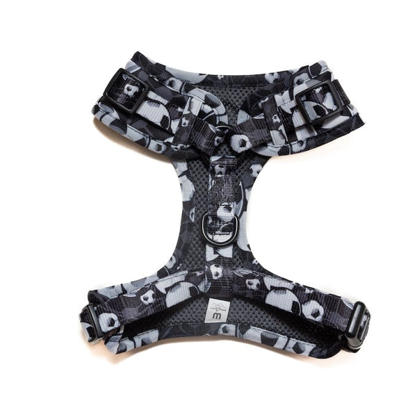 Funk The Dog Harness | B&W Footballs