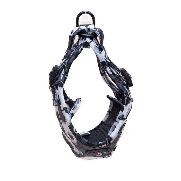 Funk The Dog Harness | B&W Footballs