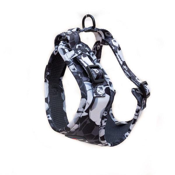 Funk The Dog Harness | B&W Footballs