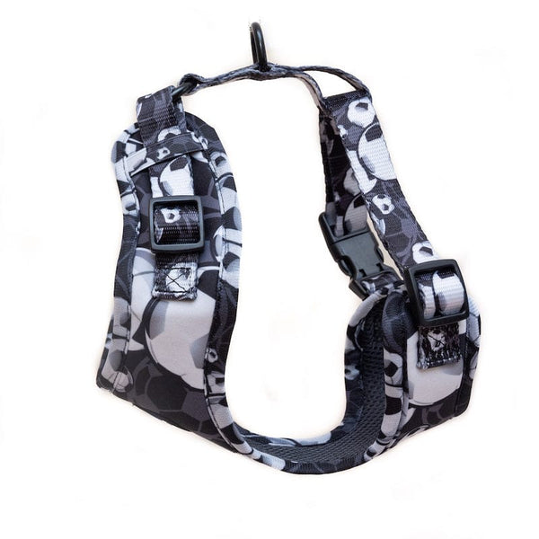 Funk The Dog Harness | B&W Footballs