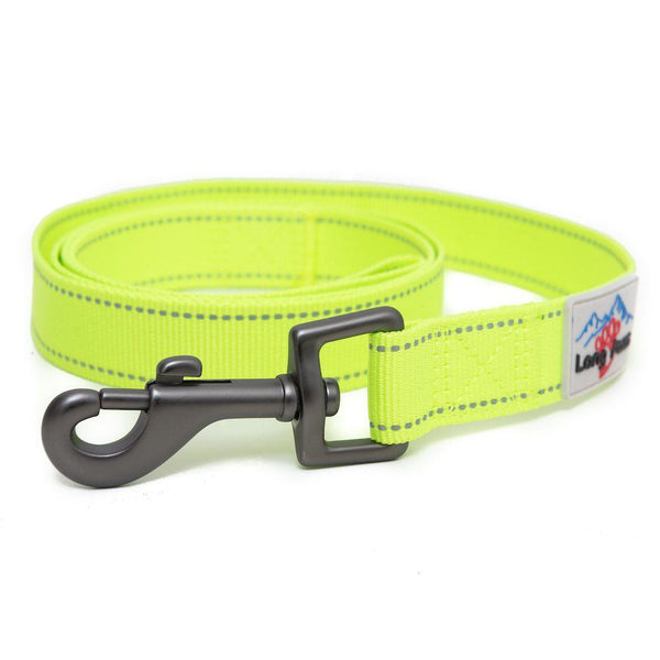 Neon Collar & Webbing Lead Set - Long Paws