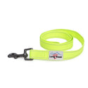 Neon Webbing Dog Lead - Long Paws