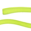 Neon Webbing Dog Lead - Long Paws