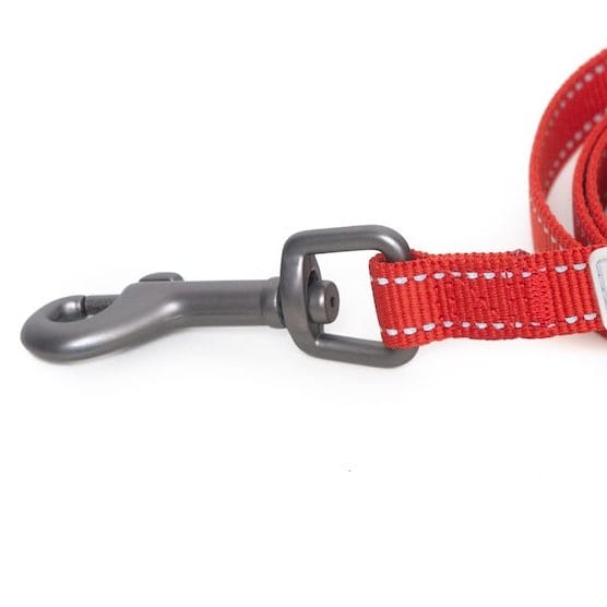 Reflective Dog Leash - Red