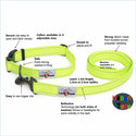 Neon Collar & Webbing Lead Set - Long Paws